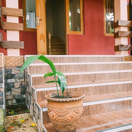 Hotel Forest Fairy Shekhvetili Exterior foto