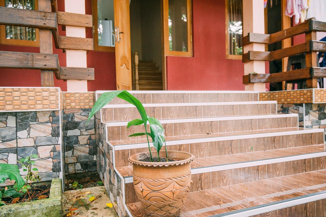 Hotel Forest Fairy Shekhvetili Exterior foto
